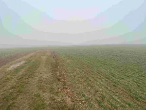 Prodej pole, Ctidružice, 58835 m2