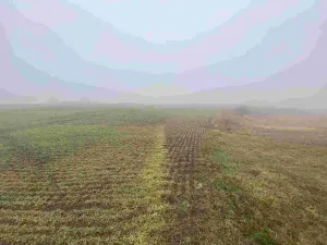 Prodej pole, Ctidružice, 58835 m2