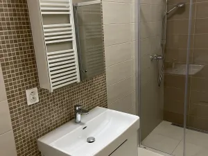 Pronájem bytu 2+1, Vyškov - Vyškov-Město, Jana Šoupala, 102 m2