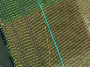 Prodej pole, Dolní Bojanovice, 8368 m2