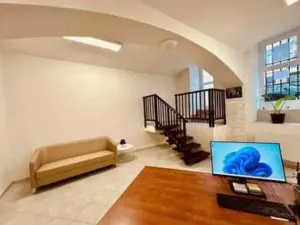 Prodej obchodního prostoru, Praha, Wenzigova, 52 m2