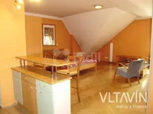 Pronájem bytu 1+kk, Praha - Vinohrady, Slezská, 45 m2
