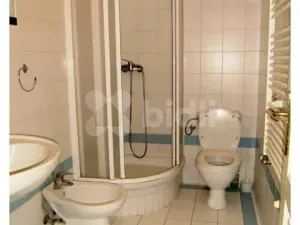 Pronájem bytu 1+kk, Praha - Vinohrady, Slezská, 45 m2