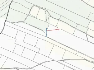 Dražba pole, Olešnice, 318 m2