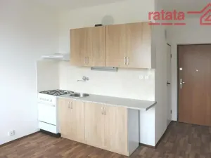 Pronájem bytu 1+1, Chomutov, Dřínovská, 35 m2