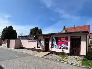 Prodej rodinného domu, Nové Strašecí, Křivoklátská, 120 m2