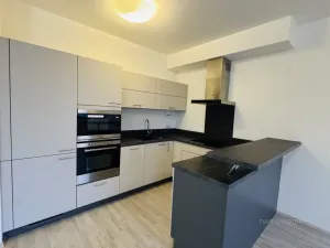 Pronájem bytu 1+kk, Brno - Slatina, Kigginsova, 42 m2