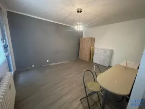 Pronájem bytu 1+kk, Bílina - Pražské Předměstí, Alšova, 27 m2