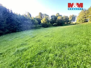 Prodej louky, Teplice nad Metují - Horní Teplice, 5449 m2