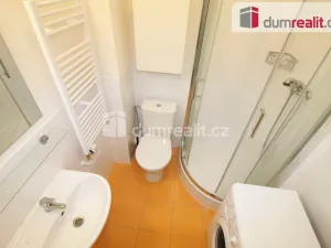 Pronájem bytu 1+kk, Praha - Smíchov, Ke Koulce, 20 m2