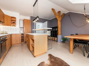 Pronájem bytu 2+1, Praha - Žižkov, Bořivojova, 116 m2