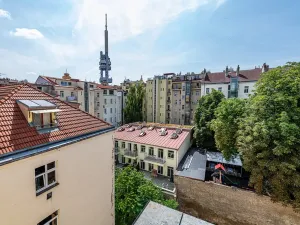 Pronájem bytu 2+1, Praha - Žižkov, Bořivojova, 116 m2