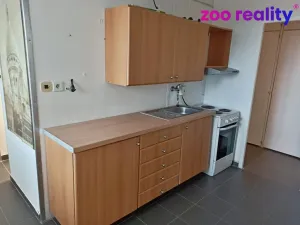 Pronájem bytu 1+1, Zliv, Školní, 42 m2