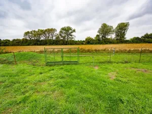 Prodej pozemku pro bydlení, Přibice, 2794 m2