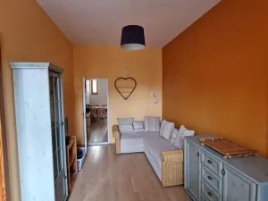 Pronájem bytu 2+1, České Budějovice, Puklicova, 53 m2