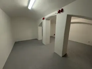 Pronájem výrobních prostor, Praha - Bubeneč, Sochařská, 37 m2