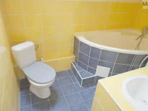 Pronájem bytu 2+kk, Litvínov - Horní Litvínov, Mánesova, 45 m2