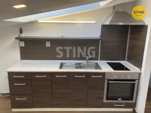 Pronájem bytu 1+kk, Opava, Hviezdoslavova, 47 m2