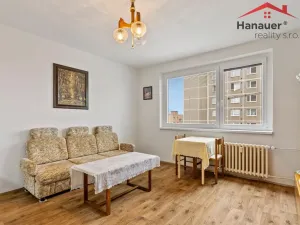 Prodej bytu 2+kk, Ústí nad Labem - Severní Terasa, Šrámkova, 40 m2