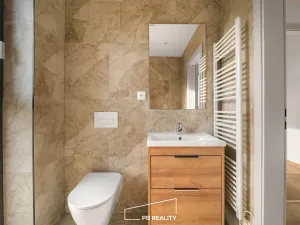 Pronájem bytu 1+kk, Plzeň, Kamenická, 34 m2