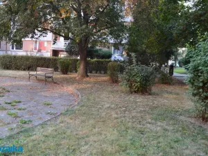 Pronájem bytu 1+1, Litomyšl - Litomyšl-Město, Dukelská, 35 m2