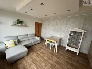 Prodej bytu 3+1, Chlumec, Zalužanská, 67 m2