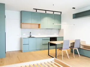 Pronájem bytu 1+kk, Brno, Bratislavská, 45 m2