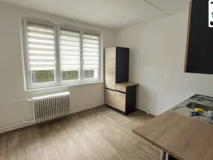 Pronájem bytu 1+1, Cheb, Šeříková, 40 m2