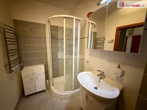 Prodej rodinného domu, Mariánské Lázně - Hamrníky, Ladova, 290 m2