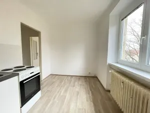Pronájem bytu 1+1, Litvínov, Podkrušnohorská, 30 m2