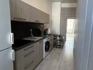 Pronájem bytu 3+1, Brno, Štefánikova, 73 m2