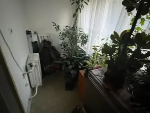 Prodej podílu vícegeneračního domu, Lužná, Čejkovka, 250 m2