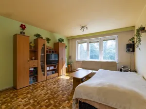 Prodej bytu 1+1, Ostrava - Výškovice, Výškovická, 39 m2