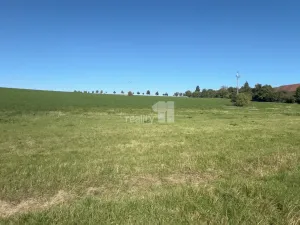 Prodej pozemku pro bydlení, Bušovice, 3737 m2