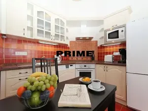 Pronájem bytu 1+kk, Praha - Vinohrady, Sázavská, 35 m2