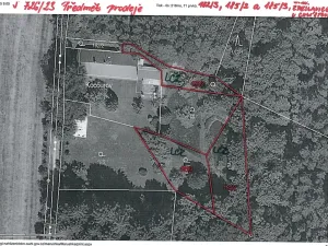 Prodej lesa, Chlístovice, 1161 m2