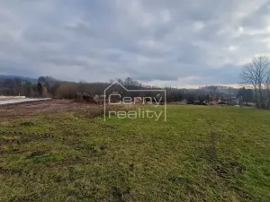 Prodej pozemku pro bydlení, Černý Důl, 1882 m2