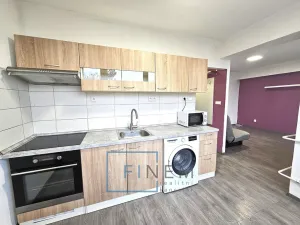 Pronájem bytu 1+1, Kralupy nad Vltavou, sídl. Hůrka, 30 m2