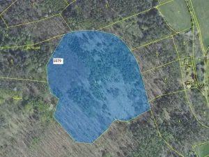 Dražba lesa, Nové Dvory, 32925 m2