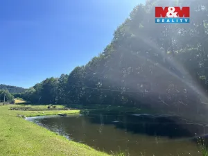 Prodej rodinného domu, Štěpánov nad Svratkou, 110 m2