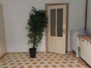 Pronájem bytu 4+1, Olomouc, tř. Svobody, 110 m2