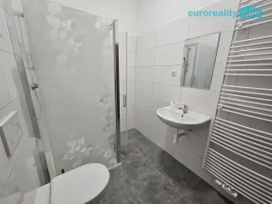 Pronájem bytu 3+kk, Luby, Revoluční, 56 m2