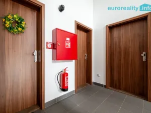 Pronájem bytu 3+kk, Luby, Revoluční, 56 m2