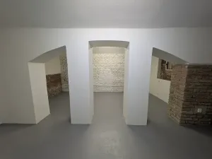 Pronájem komerční nemovitosti, Praha - Bubeneč, Sochařská, 55 m2