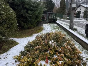 Prodej chaty, Mirošovice, Pod Ježovem, 46 m2