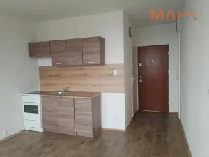 Pronájem bytu 1+1, Jirkov, Krušnohorská, 38 m2