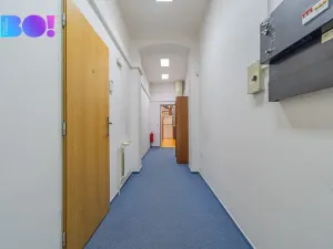 Pronájem kanceláře, Olomouc, Riegrova, 174 m2