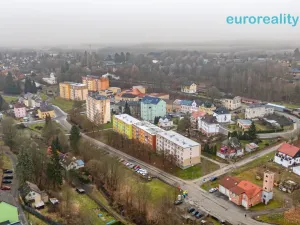 Prodej bytu 1+1, Luby, Tovární, 36 m2