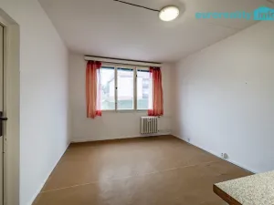 Prodej bytu 1+1, Luby, Tovární, 36 m2