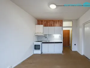 Prodej bytu 1+1, Luby, Tovární, 36 m2